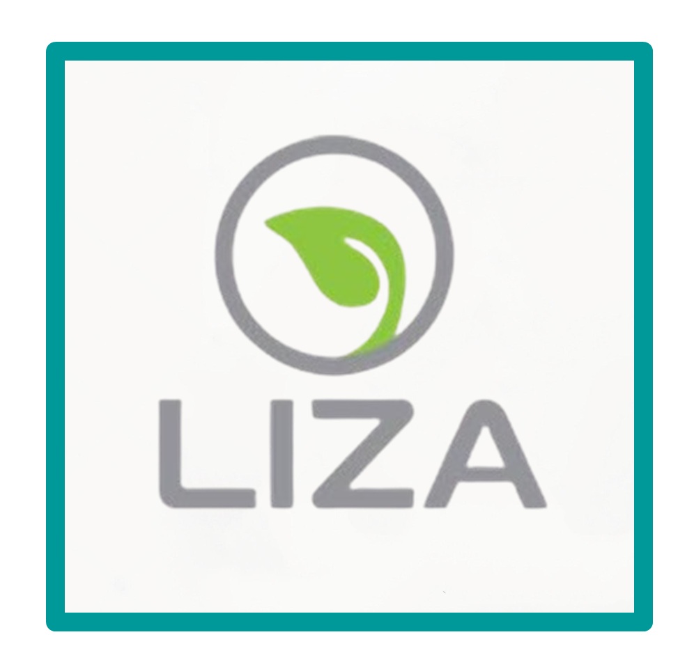 ليزا